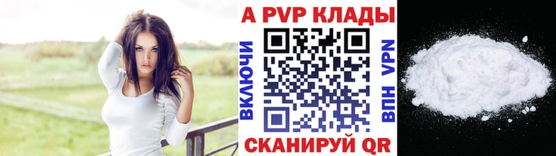 Alfa_PVP СК  Пошехонье 
