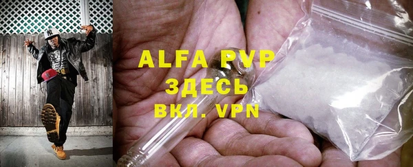 стаф Абинск