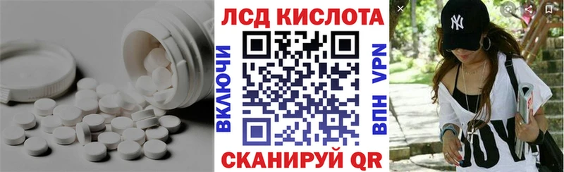 закладки  Пошехонье  Лсд 25 экстази ecstasy 