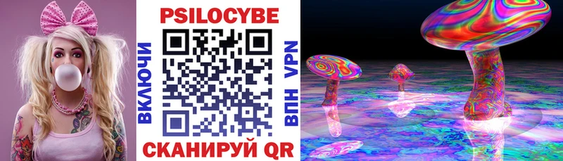 Галлюциногенные грибы мицелий  купить   Пошехонье 